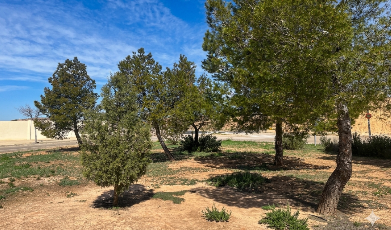 Zona de incipiente arbolado en el circuito./ Motorland