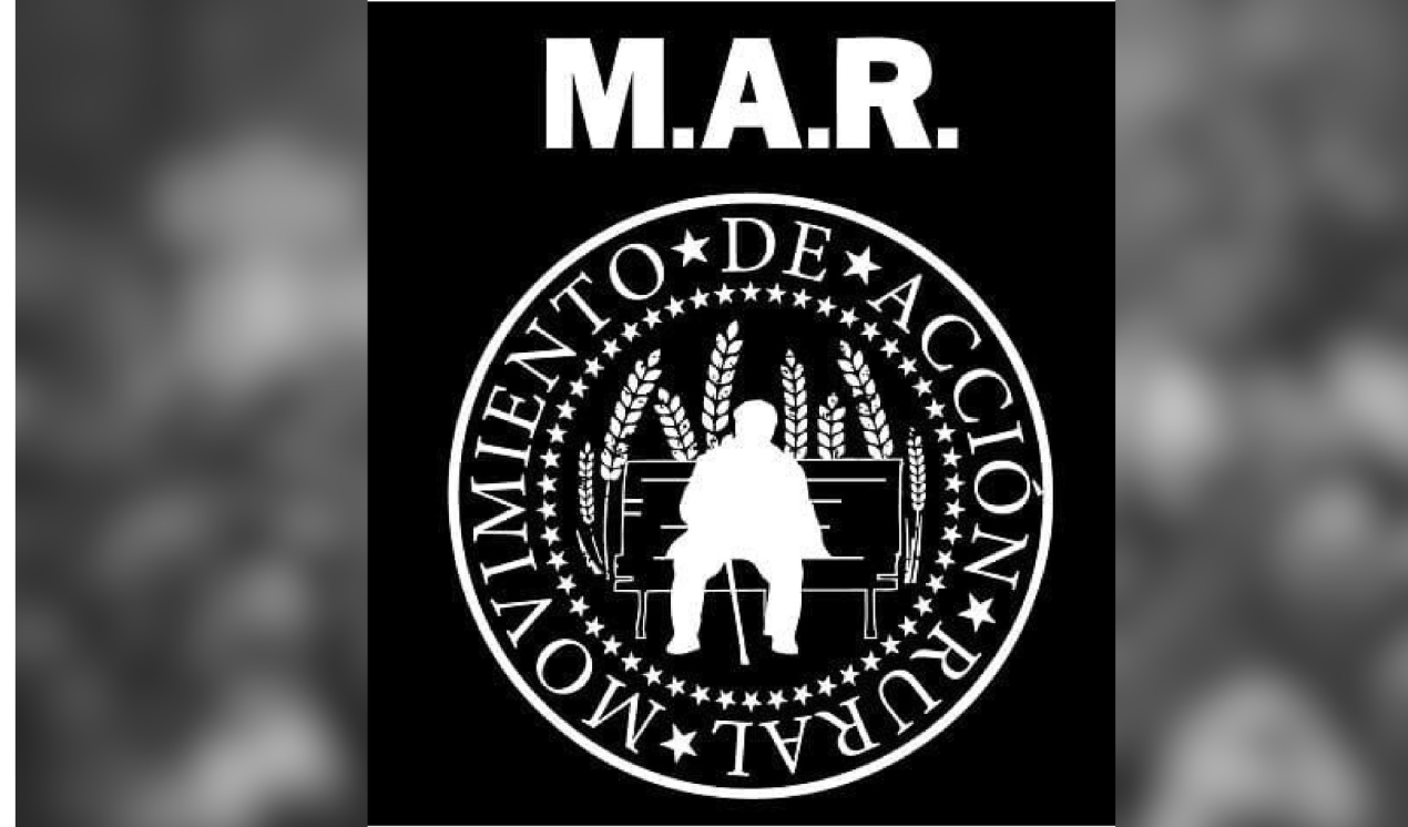 Imagen de la publicación