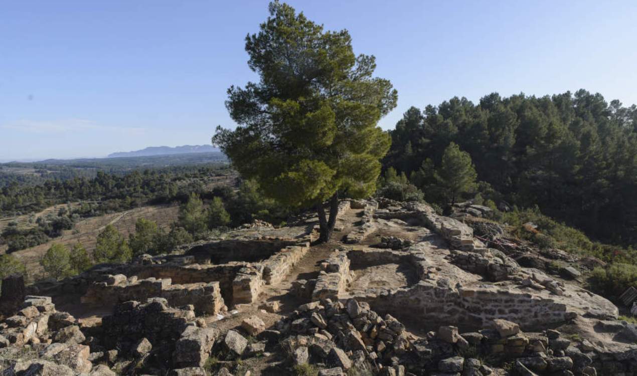Yacimiento de El Castellans, en Cretas./ Turismo de Aragón