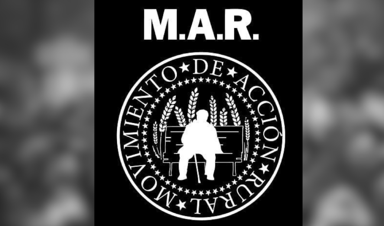 Imagen de la publicación