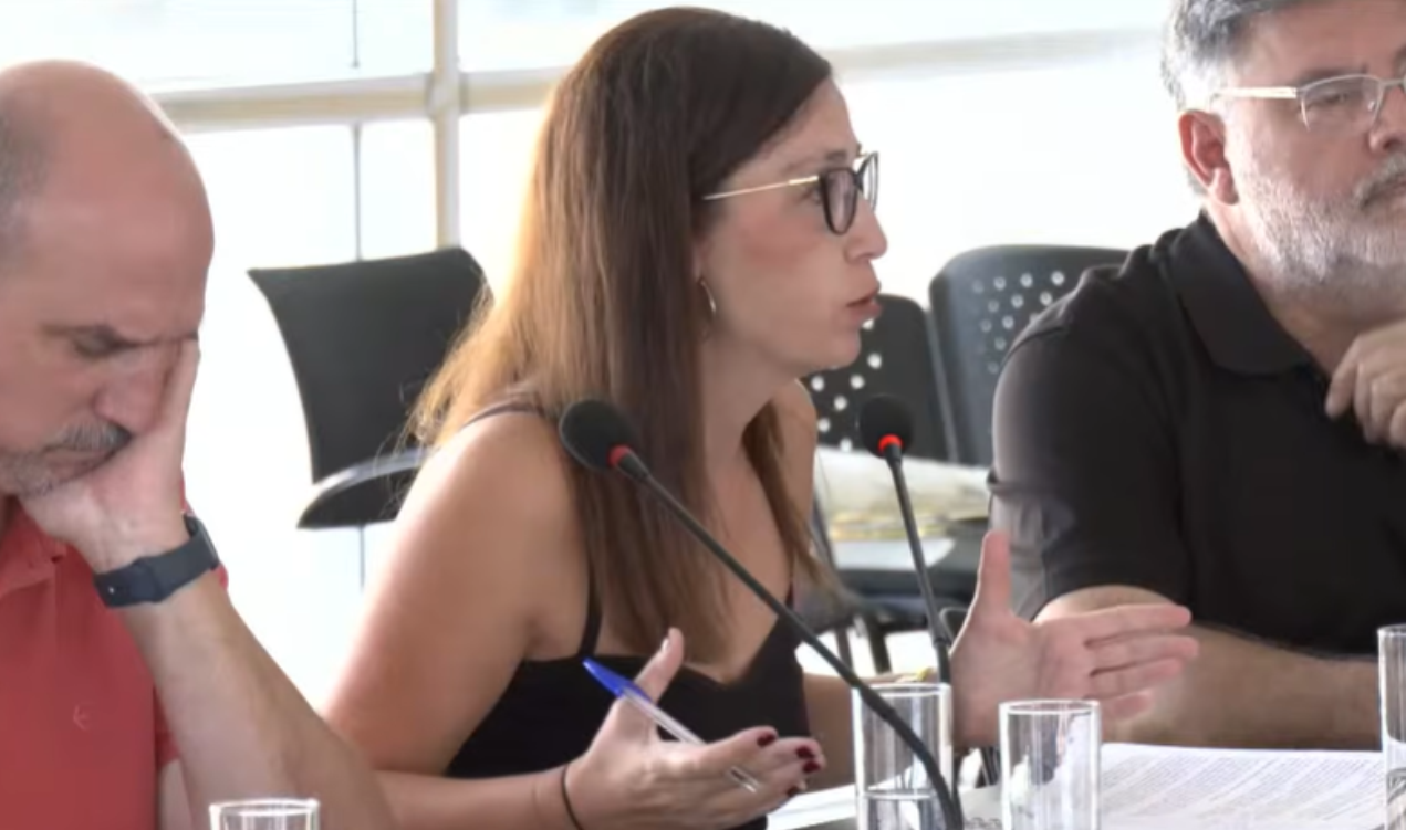 María Milián durante su intervención en el pleno./ IU ALCAÑIZ