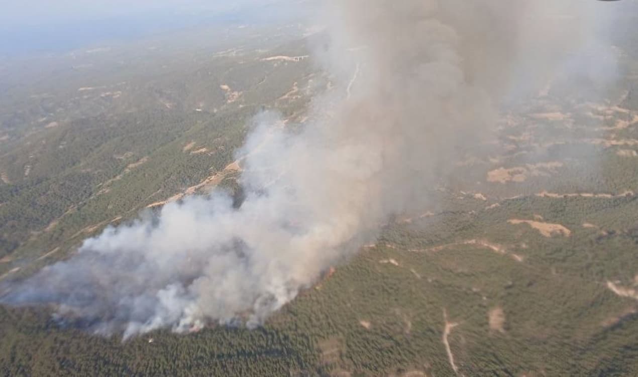 Incendio forestal en La Cerollera (Teruel)-23/7/2026./ INFOAR